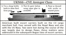 CVE Avenger Class