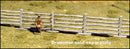 Post & Rail Fences