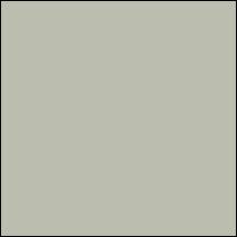 Micronaut® Haze Gray