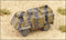 AT-105 Saxon 