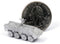Patria AMV