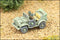 WC-56 Dodge Command/ Recon Car