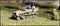 SdKfz 251/C 16 FLAMM