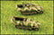 SdKfz 251/D 2 & 9