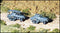 SdKfz 231/232 (6 Rad)