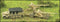 PaK 43