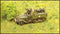 T30 75mm Gun MC